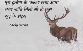motivational quote